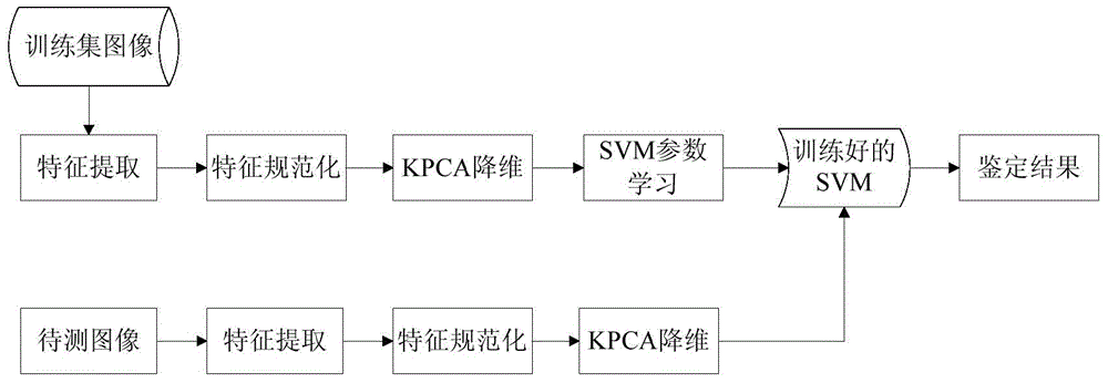 Digital image splicing passive detection method based on frequency domain local statistic model