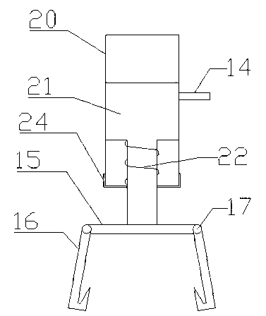 Device for dissecting tortoises