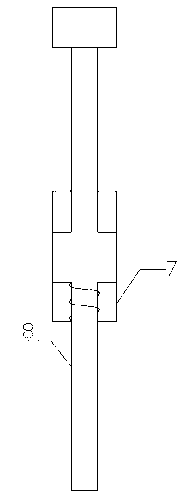 Device for dissecting tortoises