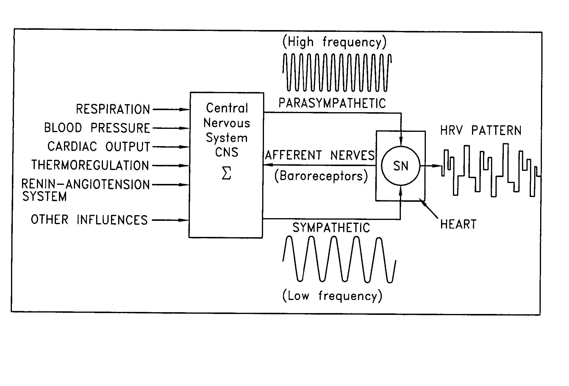 System and method for isolating effects of basal autonomic nervous system activity on heart rate variability