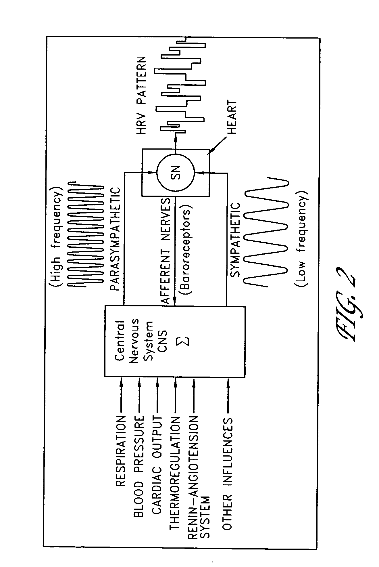 System and method for isolating effects of basal autonomic nervous system activity on heart rate variability