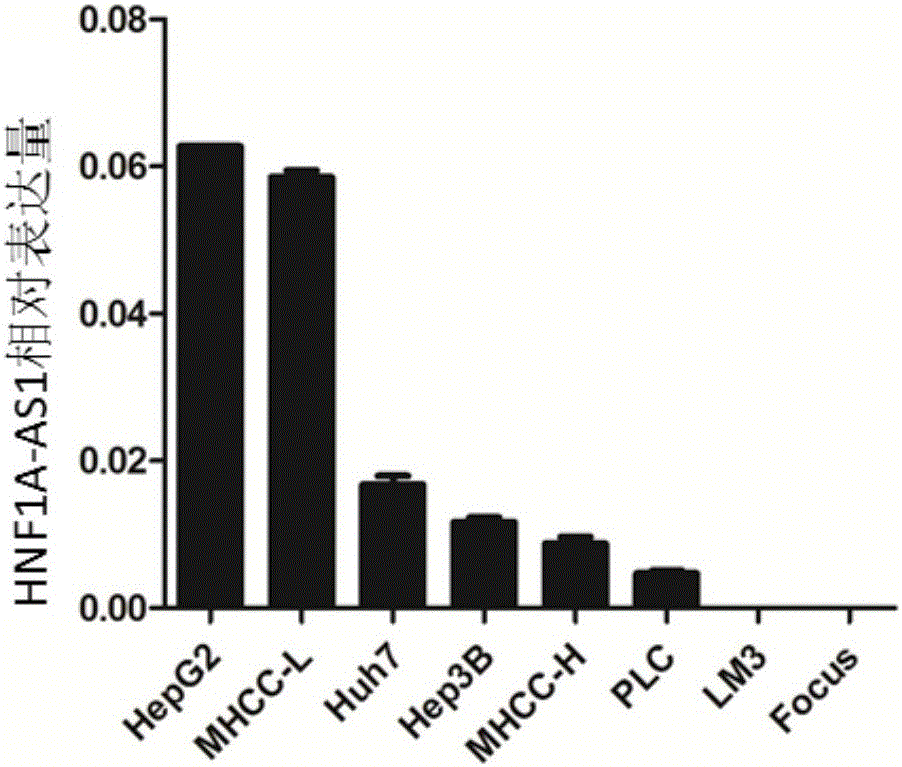 Application of long noncoding RNA HNF1A-AS1 ((hepatocyte nuclear factor-1Alpha Antisense 1) in preparation of drugs for treating human malignant solid tumors