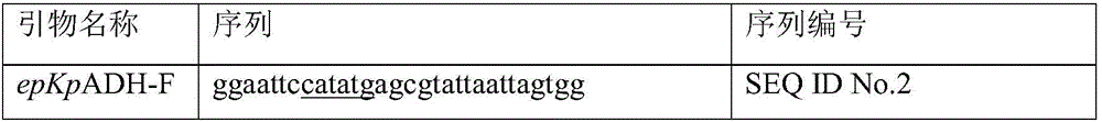 Alcohol dehydrogenase mutant, gene thereof, and application thereof in preparation of chiral diaryl alcohol