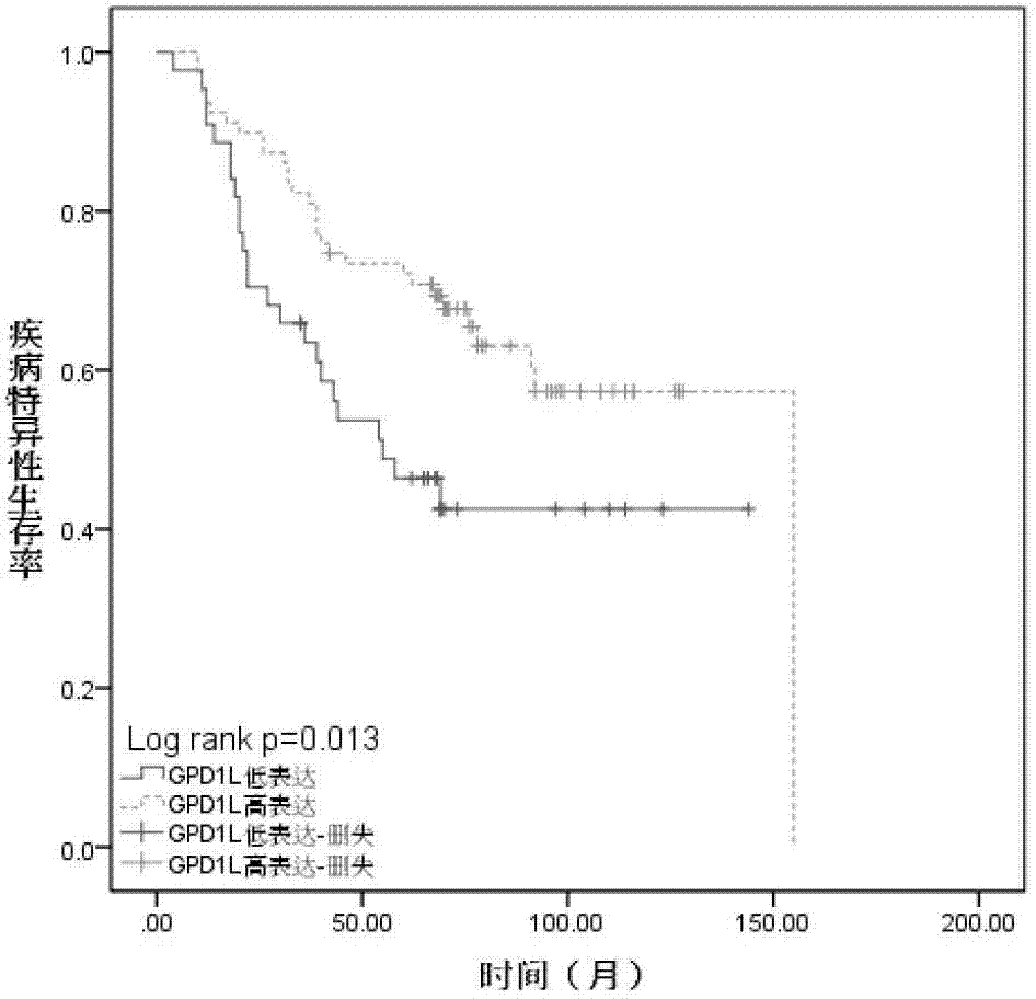 Biological marker of oral cavity oropharynx squamous-cell carcinoma and application of biological marker