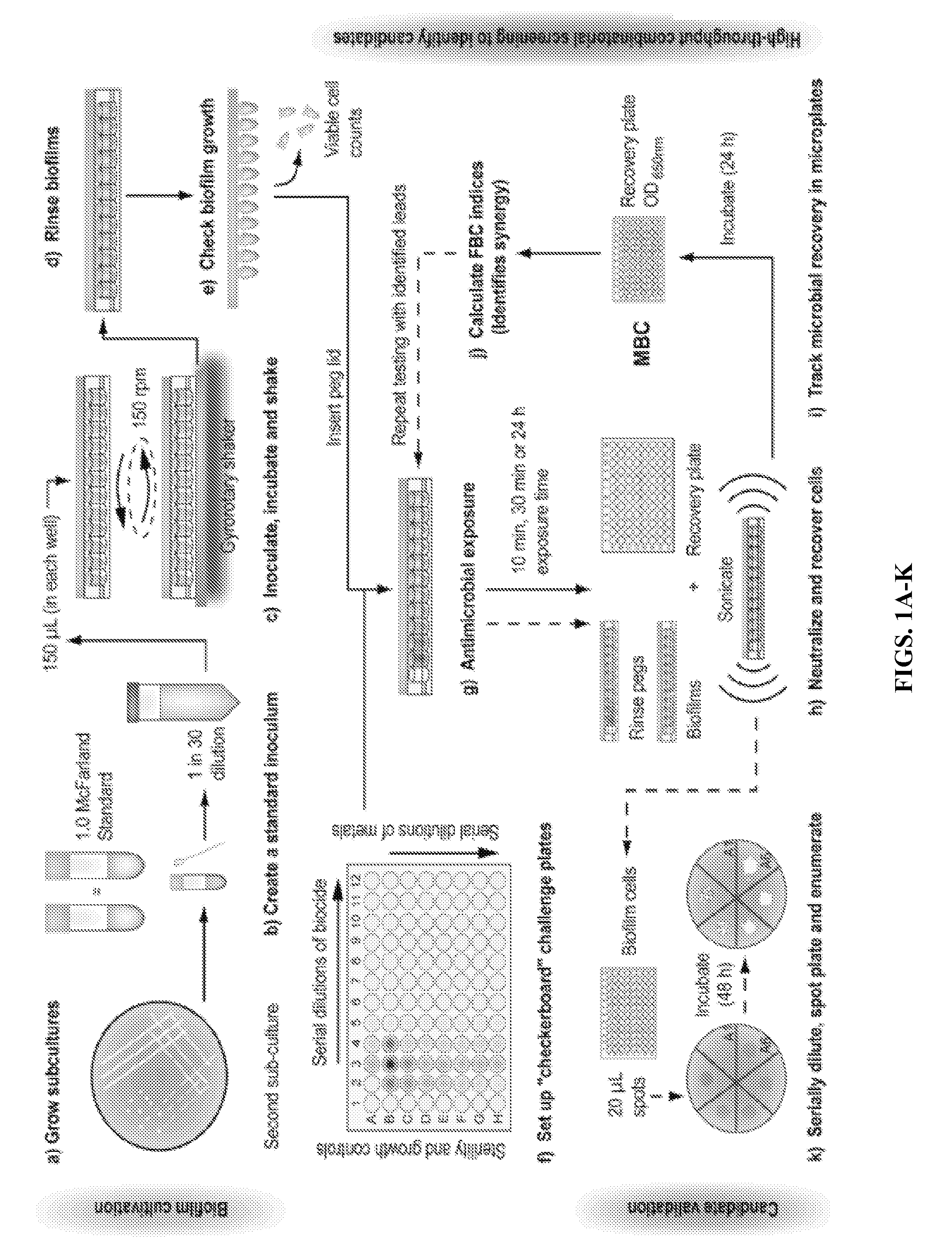 Combination of Copper Cations with Peroxides or Quaternary Ammonium Compounds for the Treatment of Biofilms