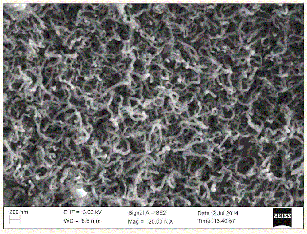 Method for preparing multiwalled carbon nanotube through microwave enhanced fast pyrolysis of biomass and/or carbonaceous organic waste