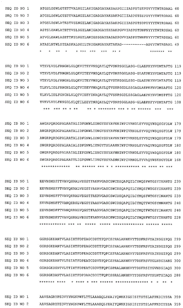 Trichoderma reesei host cells expressing a glucoamylase from aspergillus fumigatus and methods of use thereof