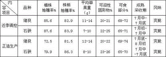 Near-season mature period regulation and control method for longan