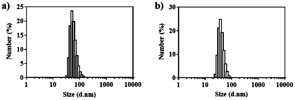 Amphotericin B albumin nanometer preparation and preparation method and application thereof