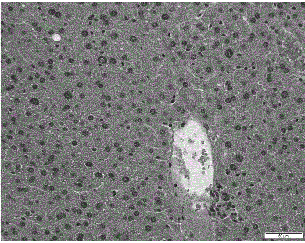 Functional food with effects of protecting liver and improving eyesight