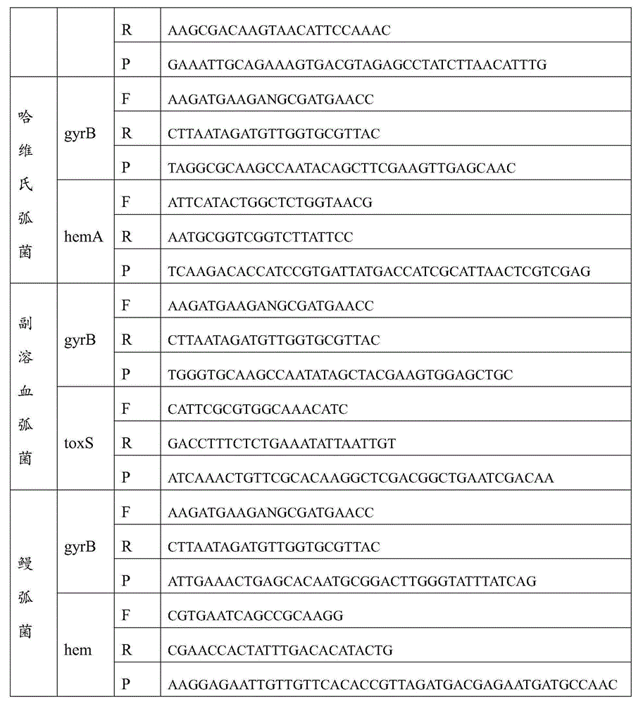 Gene chip detecting marine pathogenic vibrios, and preparation method and detection method thereof