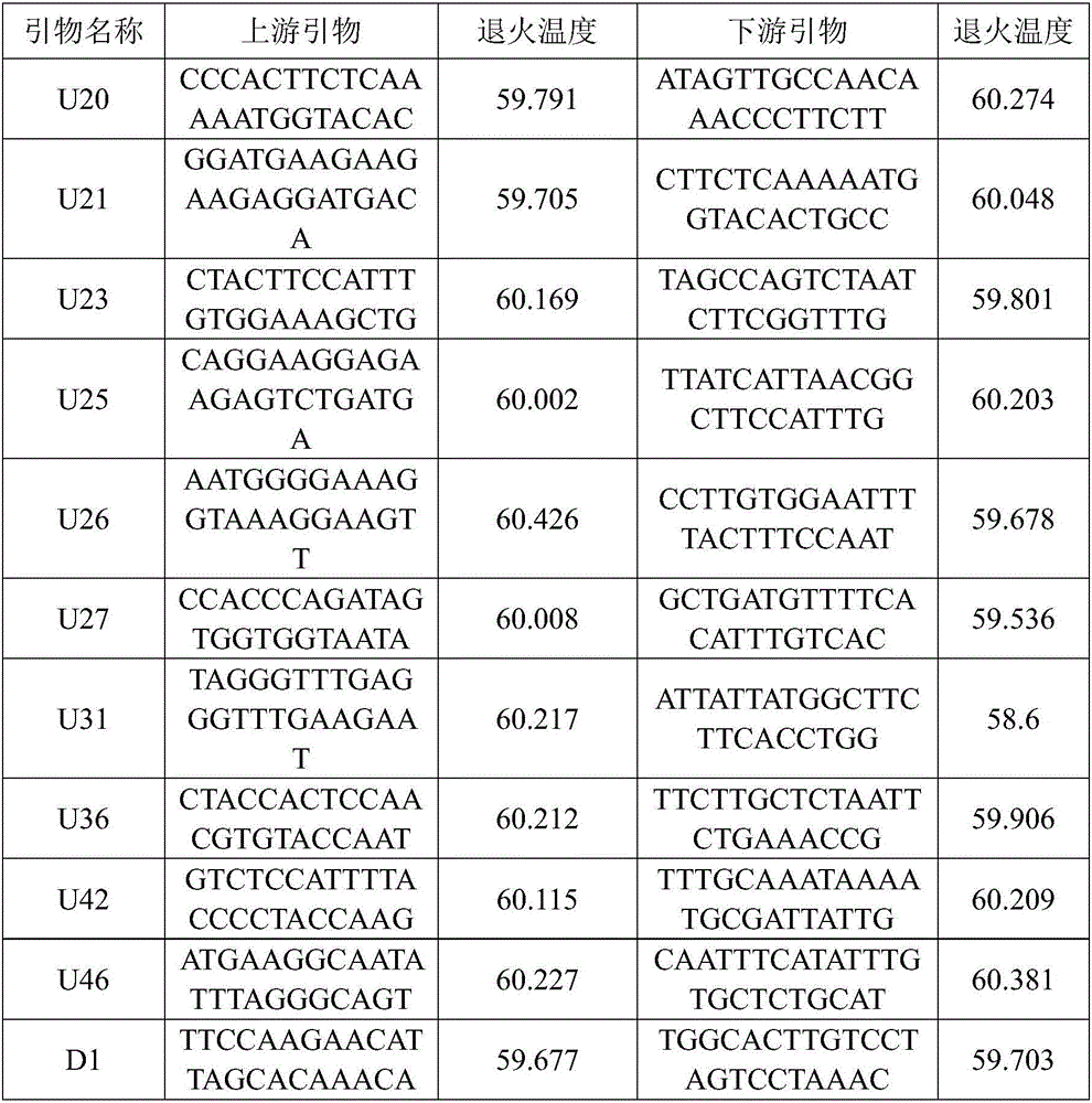 Method for obtaining SSR (Simple Sequence Repeat) primer of lycium ruthenicum based on transcription sequencing