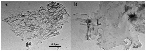 A biochar-loaded magnetic substance composite adsorption material and its preparation method and application method