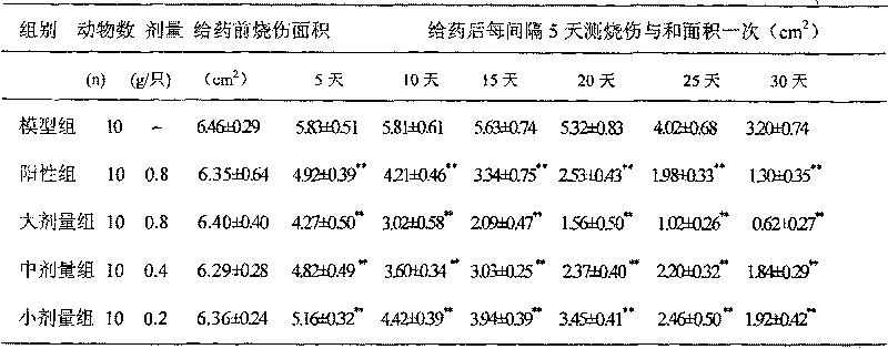 Traditional Chinese medicine ointment for treating burn, scald and method of producing the same