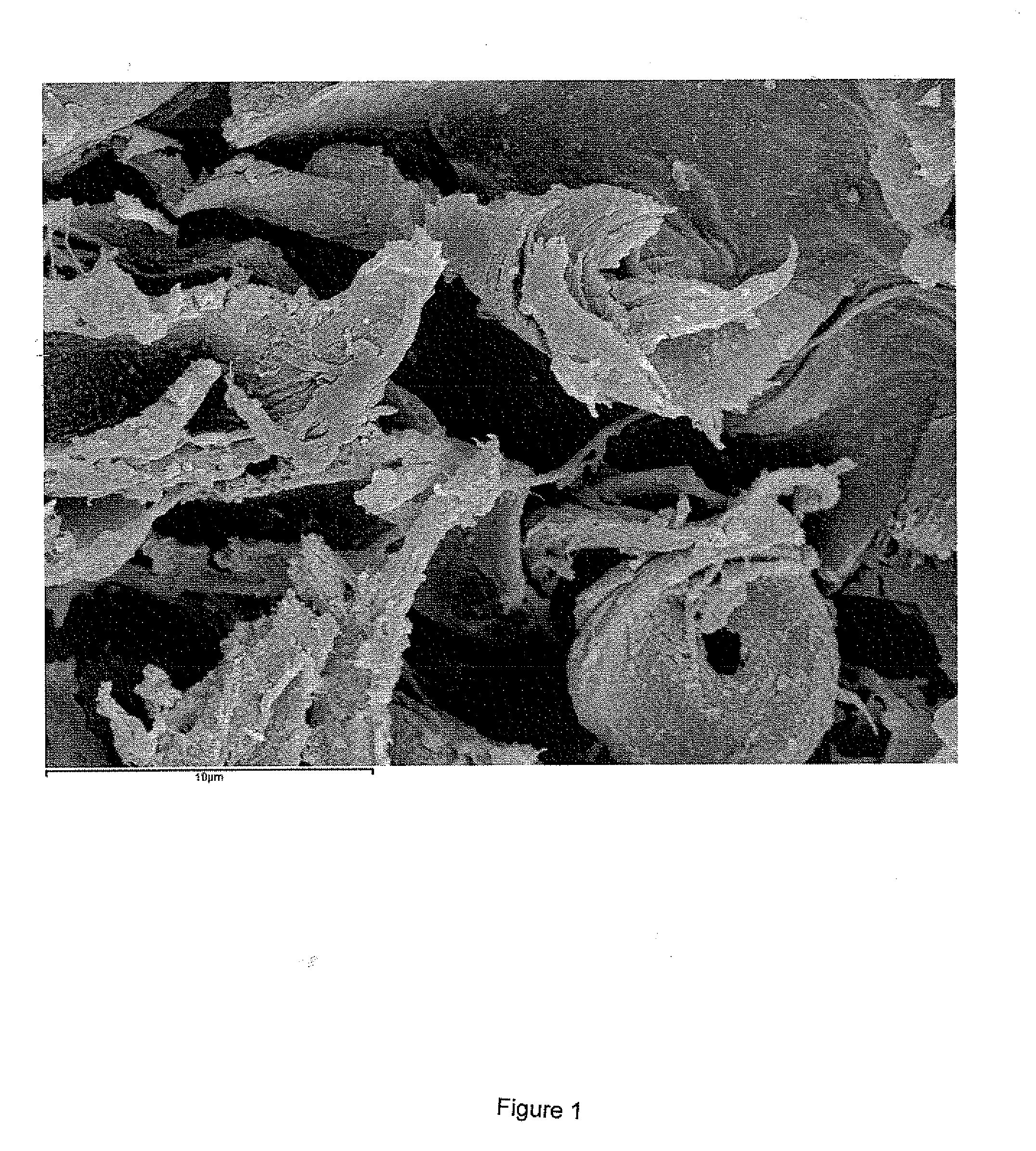 Polymeric material of photosynthetic origin comprising particulate inorganic material