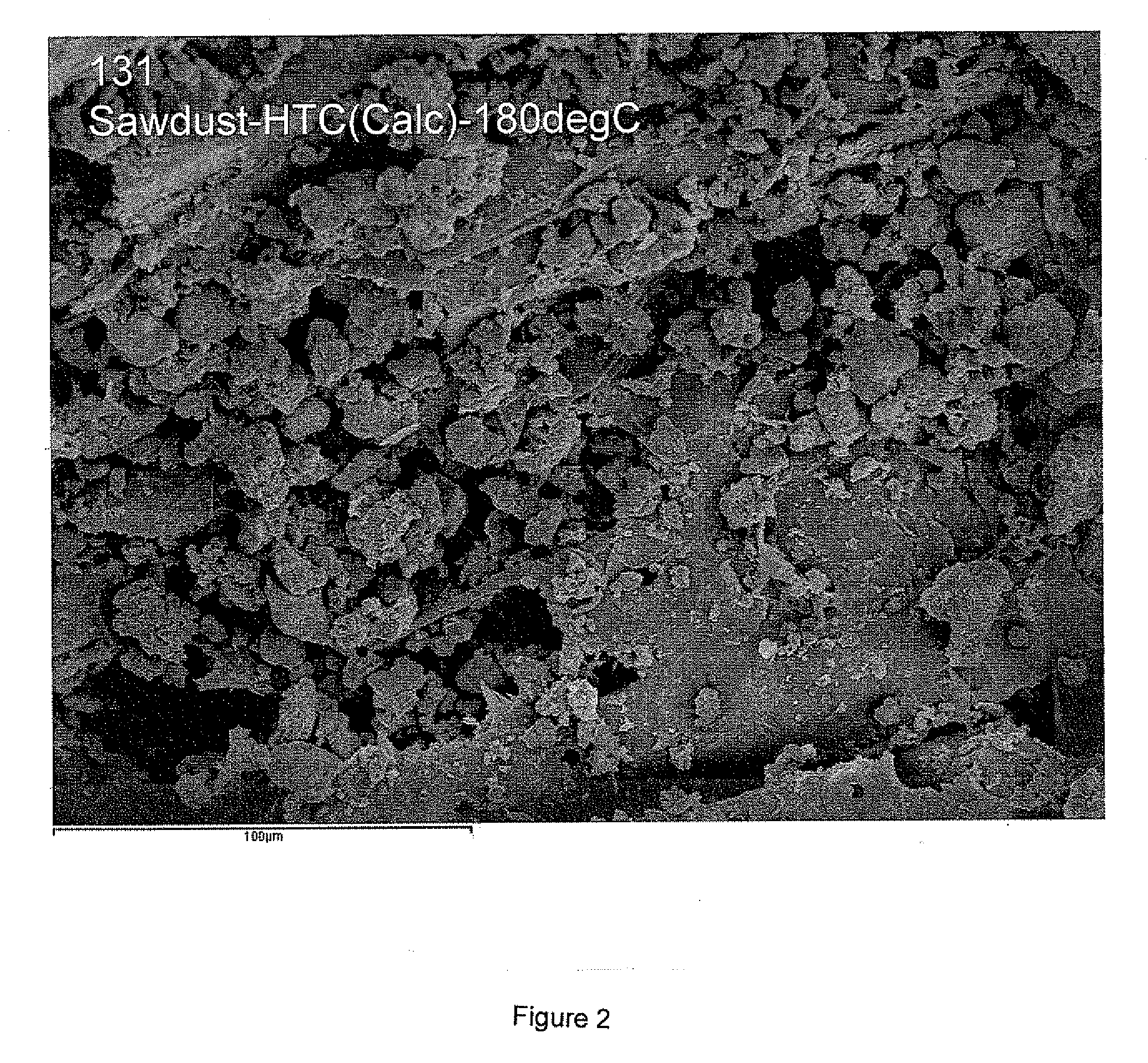 Polymeric material of photosynthetic origin comprising particulate inorganic material