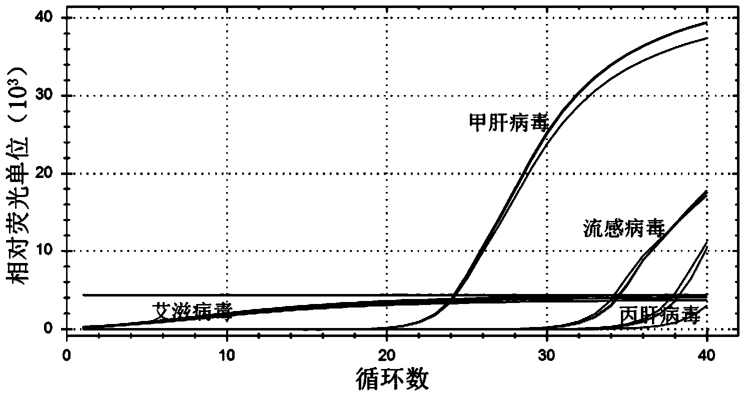 Quantitative detection kit of hepatitis A virus