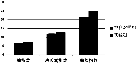 Composite traditional Chinese medicine fermented substance for improving immunity effect of chicken vaccine