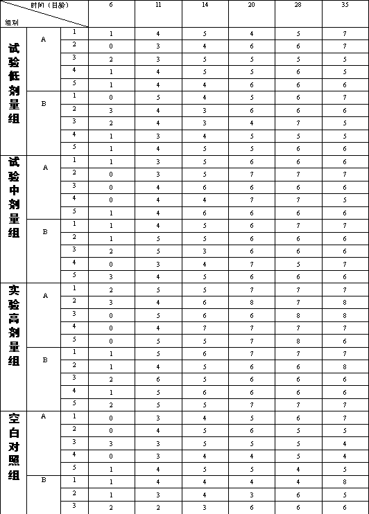 Composite traditional Chinese medicine fermented substance for improving immunity effect of chicken vaccine