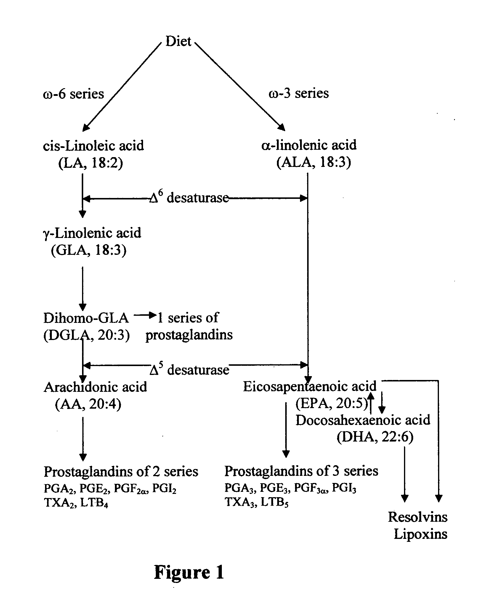 Method of potentiating the therapeutic action of monoclonal and polyclonal antibodies