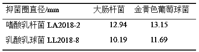 Method for preparing special lactic acid bacteria synergized culture medium for pickled vegetables and application of special lactic acid bacteria synergized culture medium