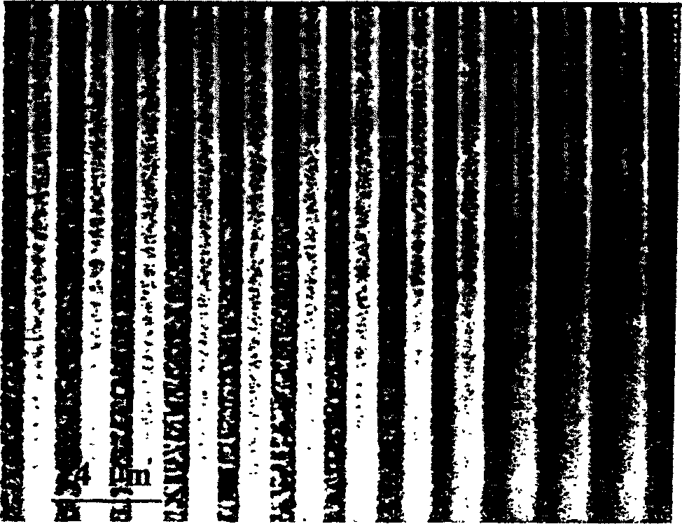 Method for contruction of two-dimension ordered distributing silicon quantum point figurated nano structure