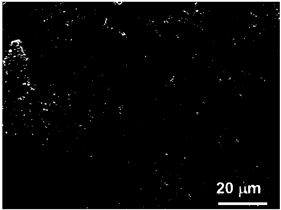 Carbon fiber/three-dimensional network graphene composite material preparation method and application thereof