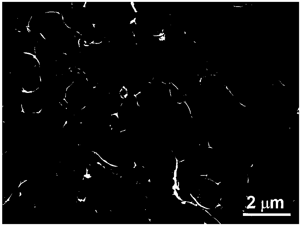 Carbon fiber/three-dimensional network graphene composite material preparation method and application thereof