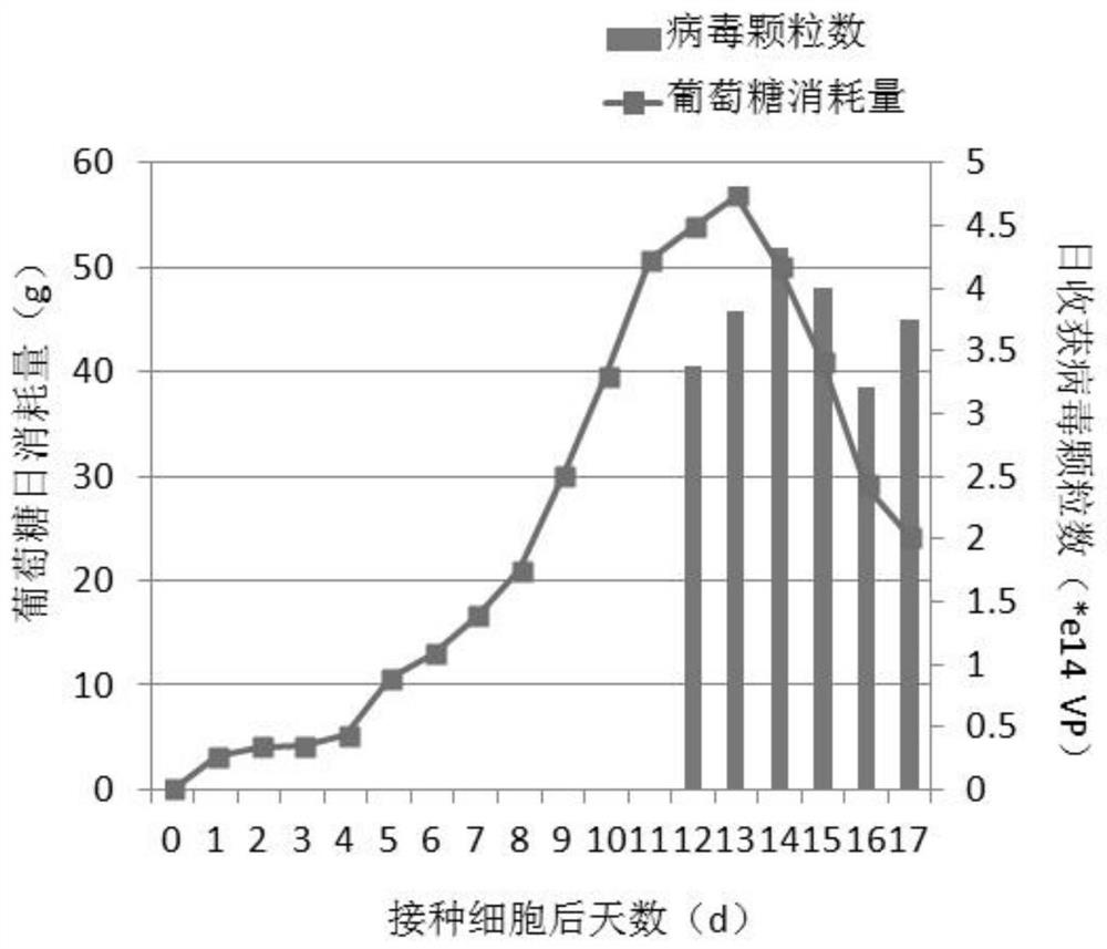 Process optimization method for culturing oncolytic adenovirus by using bioreactor tank flow