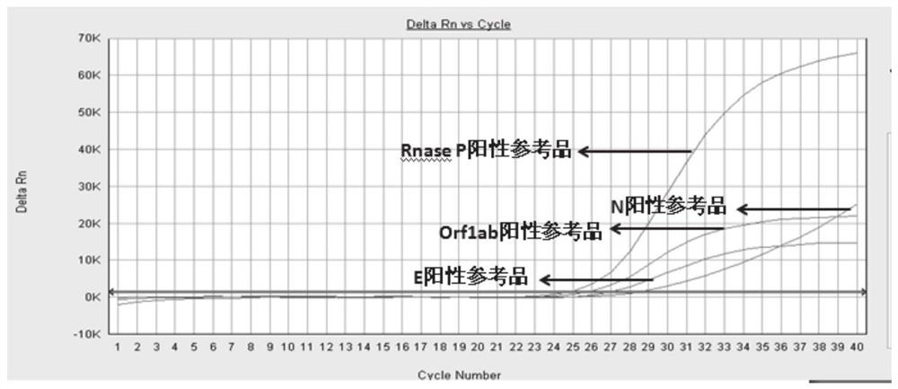 Primers and method for simultaneously detecting Orf1ab, E and N regions of 2019-nCov virus in one tube