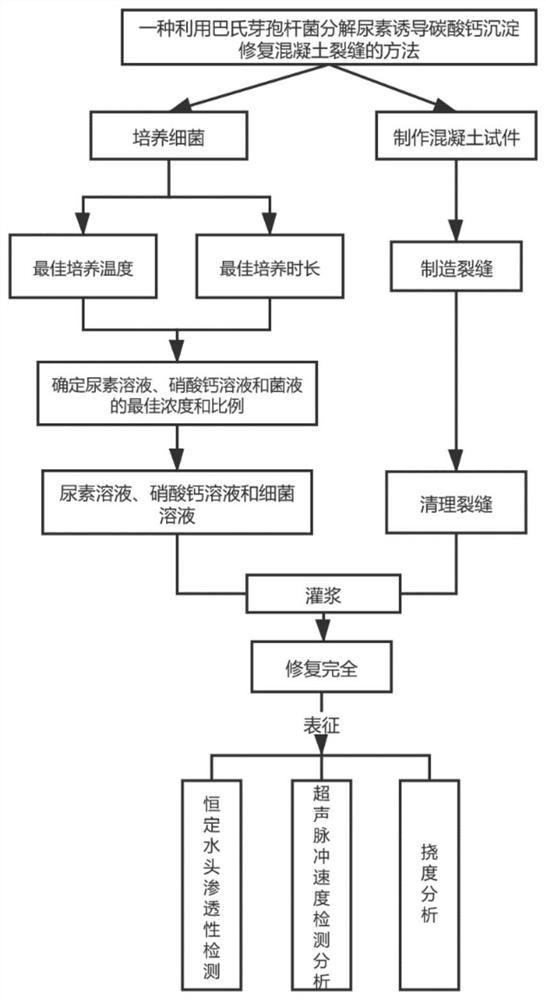 Concrete crack bioremediation method