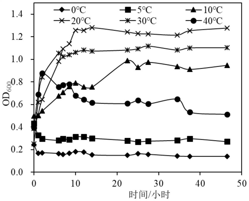 Concrete crack bioremediation method