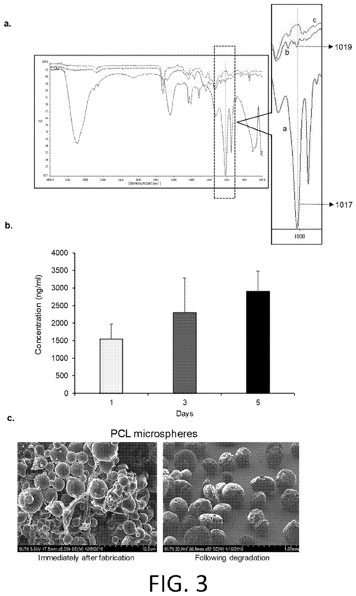 Functionalized prosthetic interfaces for the prevention and treatment of dental conditions