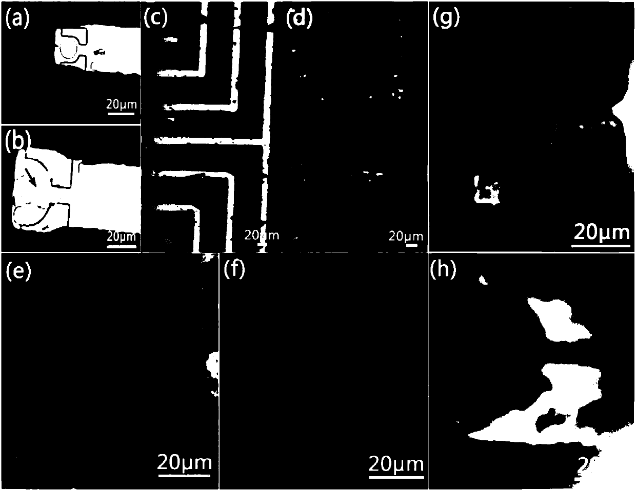 Micro-fluidic chip having three-dimensional graphene interface, and production method thereof