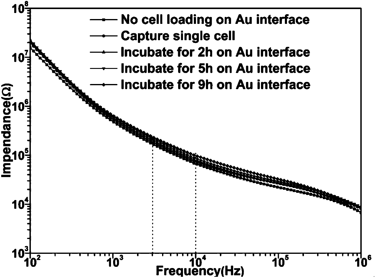 Micro-fluidic chip having three-dimensional graphene interface, and production method thereof