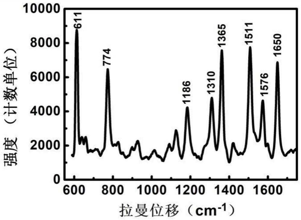 Cavity structure array assembled by silver nanoparticle, preparation method and use thereof