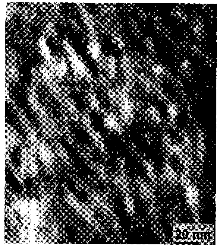 Preparation method and application of environmental estrogen electrochemical immunosensor