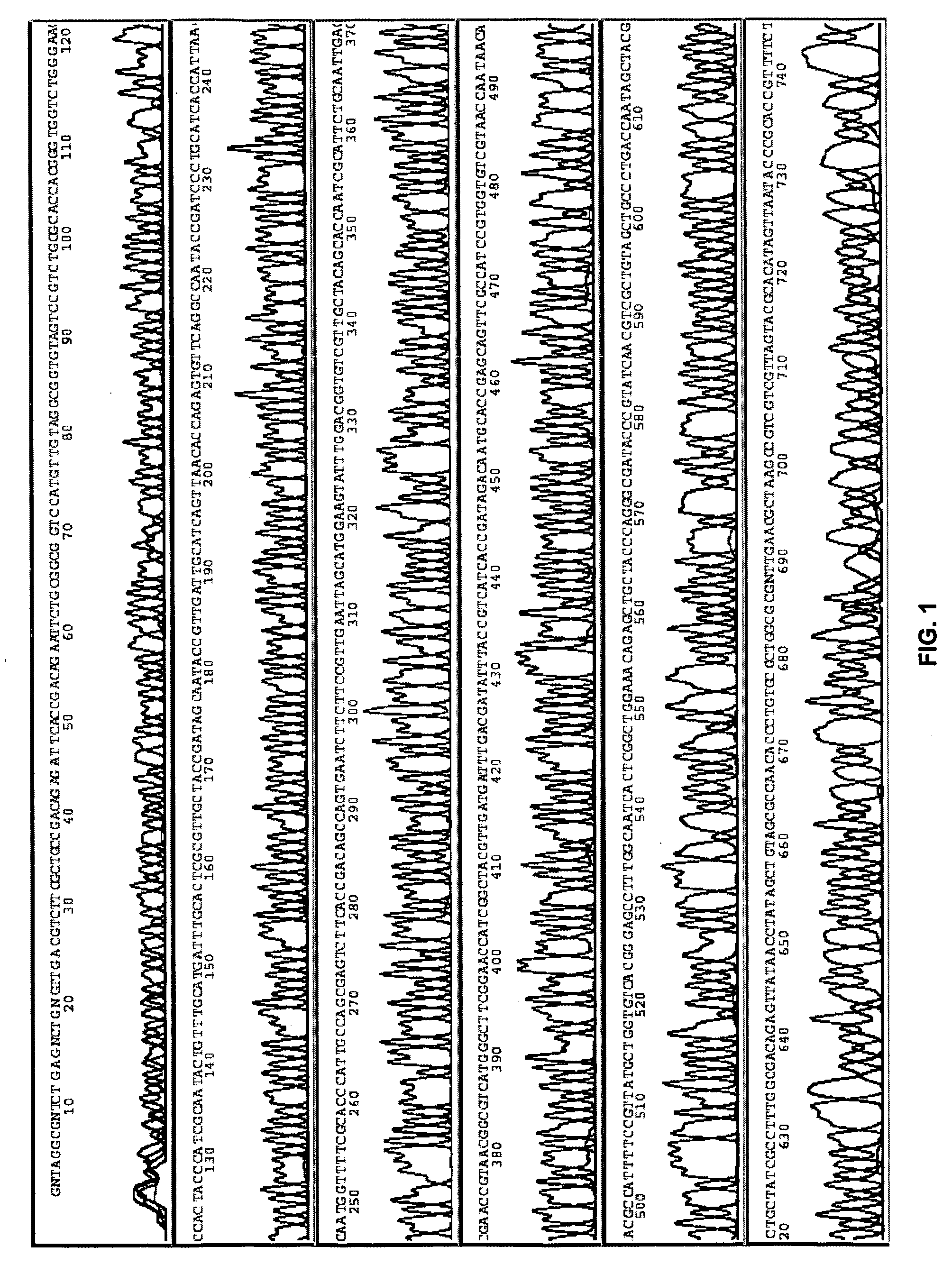 Methods, compositions, and kits for amplifying and sequencing polynucleotides