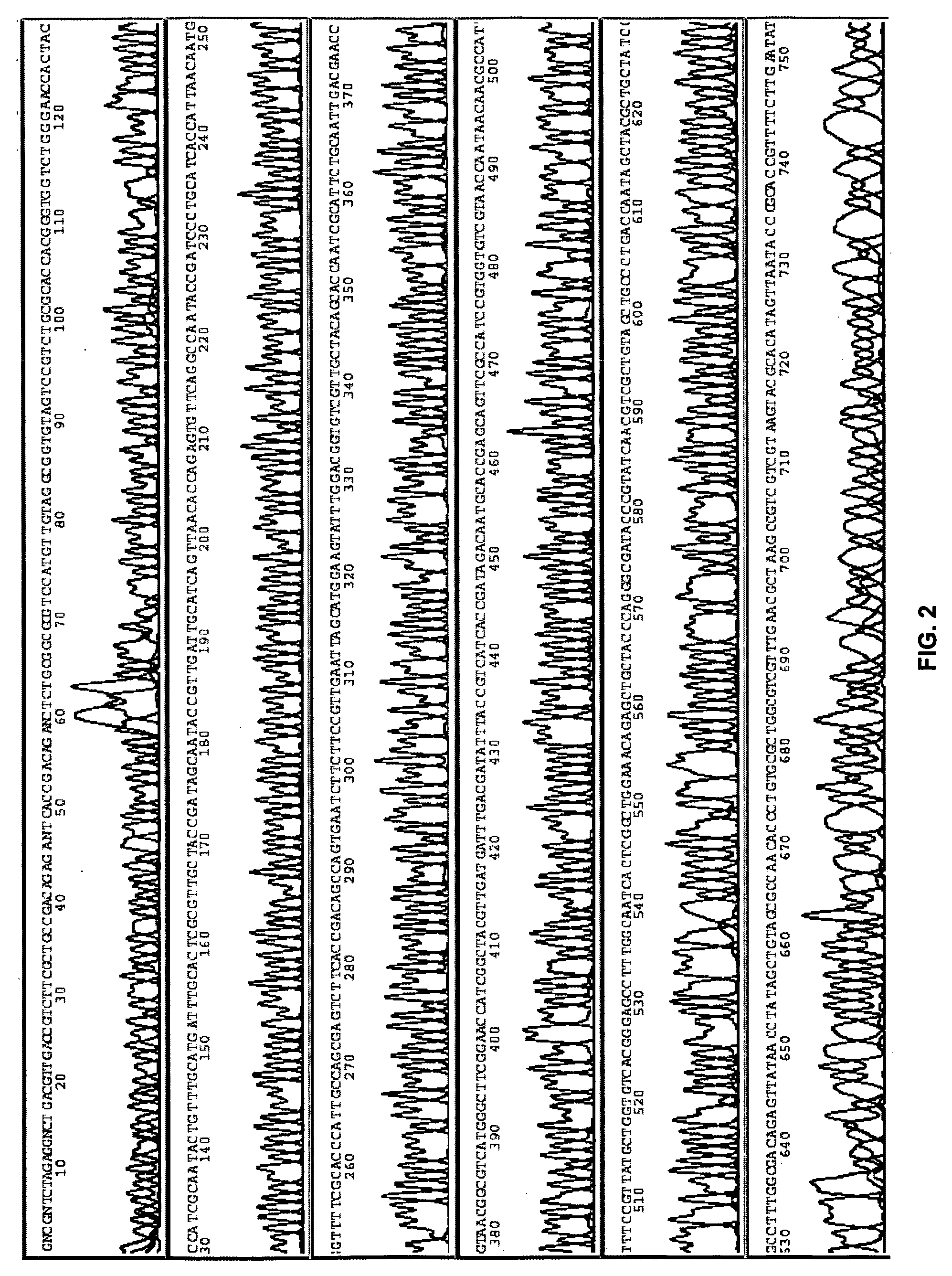 Methods, compositions, and kits for amplifying and sequencing polynucleotides