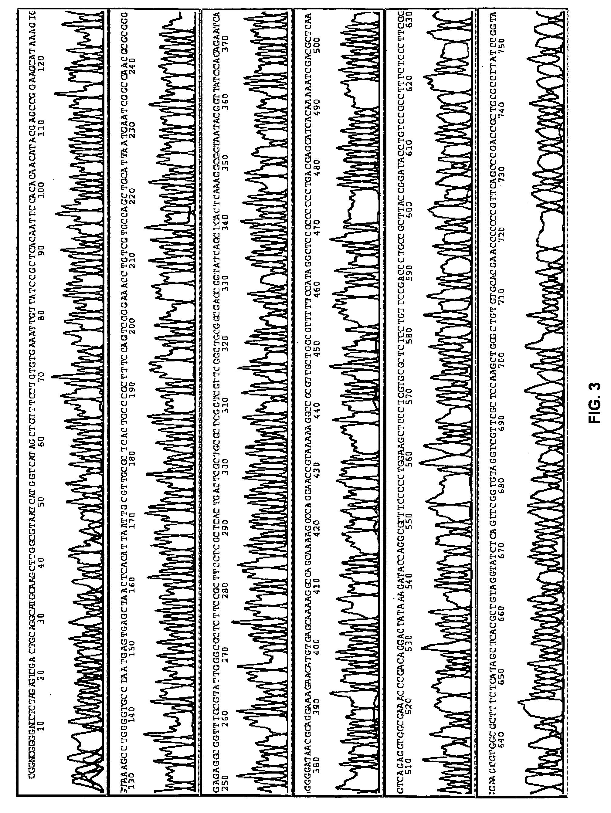 Methods, compositions, and kits for amplifying and sequencing polynucleotides