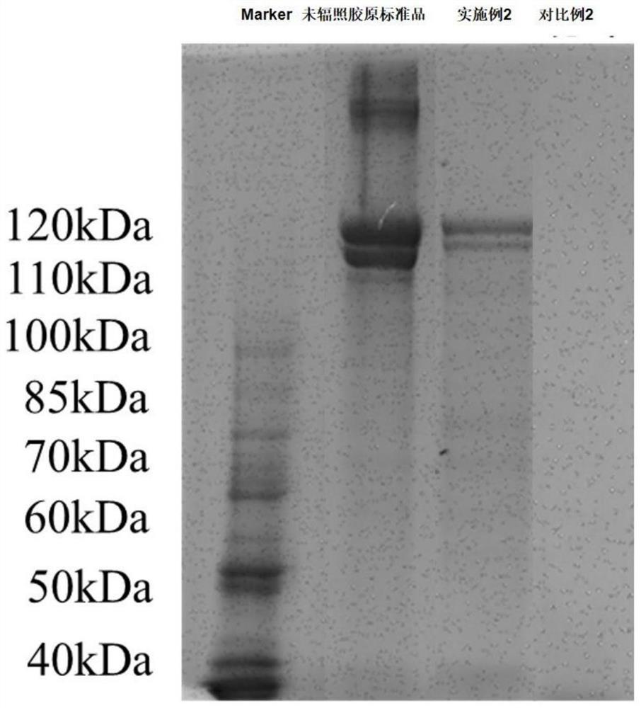 Irradiated biological material aqueous solution as well as preparation method and use method thereof