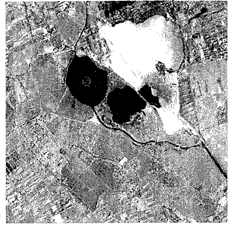 An image amalgamation method based on SFIM and IHS conversion