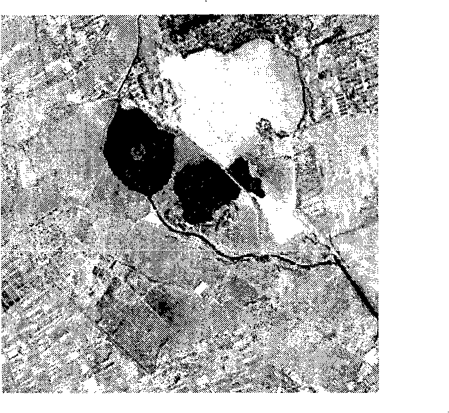 An image amalgamation method based on SFIM and IHS conversion