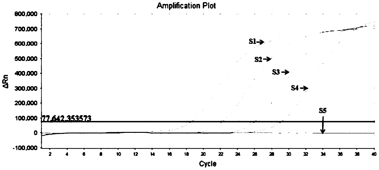 Method for simultaneously detecting three groups of rotaviruses A, B and C