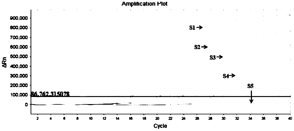 Method for simultaneously detecting three groups of rotaviruses A, B and C