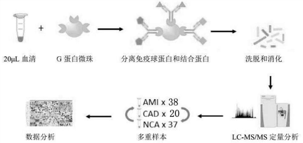 Method and device for developing disease marker by using immunoglobulin-associated proteome