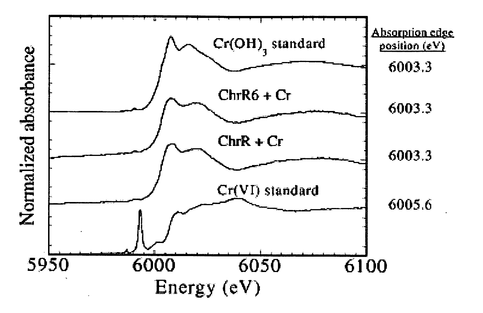 Improved nitroreductase enzymes for bioremediation