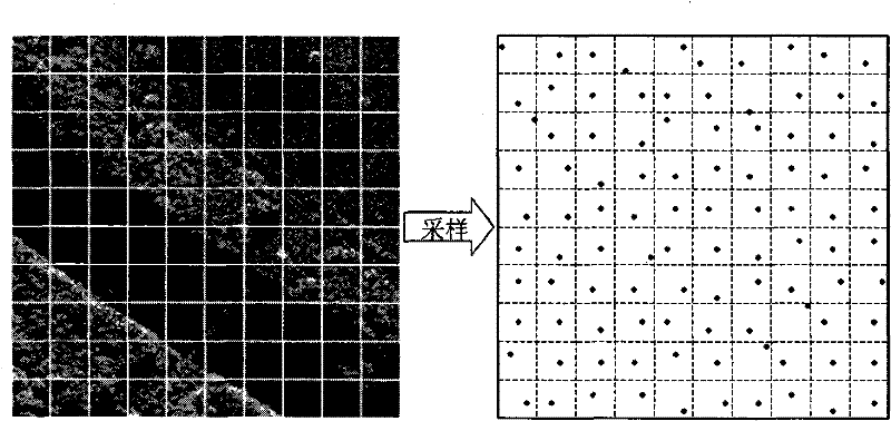 Unsupervised image division method based on multi-target immune cluster integration