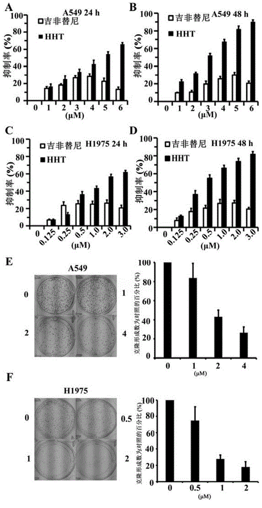 Application of natural compound Homoharringtonine in preparation of tumor treatment medicine