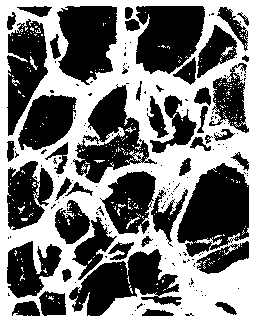 Chitosan sponge surgical dressing and preparation method thereof